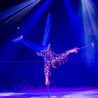 The Moscow Circus on Ice