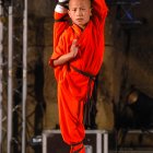 Shaolin Monks